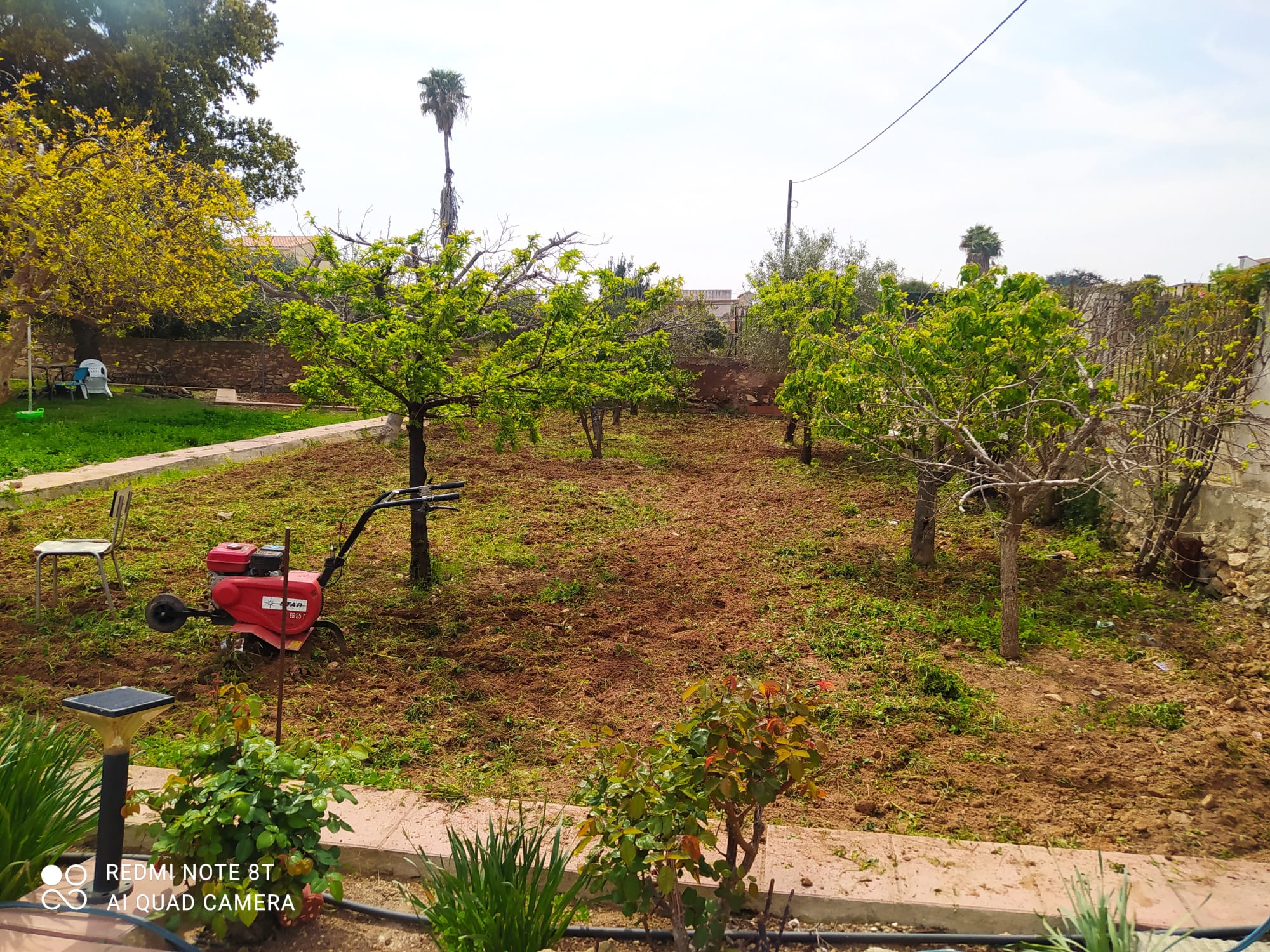 gardenstar benisano jardineria gardenstar benisano jardineria